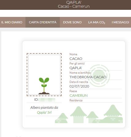 qapla-treedom-cacao